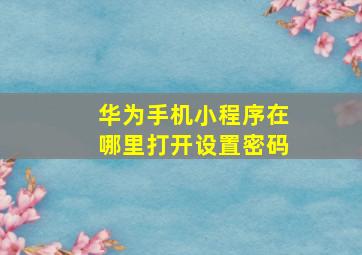 华为手机小程序在哪里打开设置密码