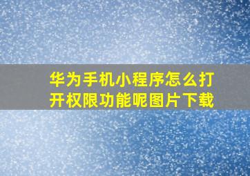 华为手机小程序怎么打开权限功能呢图片下载