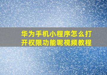 华为手机小程序怎么打开权限功能呢视频教程