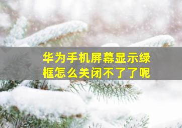 华为手机屏幕显示绿框怎么关闭不了了呢