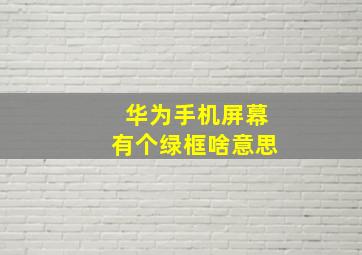 华为手机屏幕有个绿框啥意思