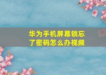 华为手机屏幕锁忘了密码怎么办视频