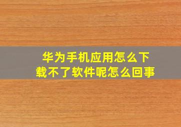 华为手机应用怎么下载不了软件呢怎么回事