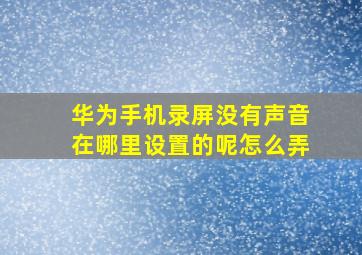 华为手机录屏没有声音在哪里设置的呢怎么弄