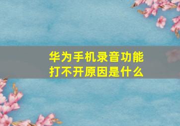 华为手机录音功能打不开原因是什么