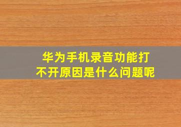 华为手机录音功能打不开原因是什么问题呢