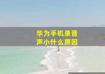 华为手机录音声小什么原因