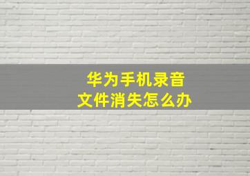 华为手机录音文件消失怎么办