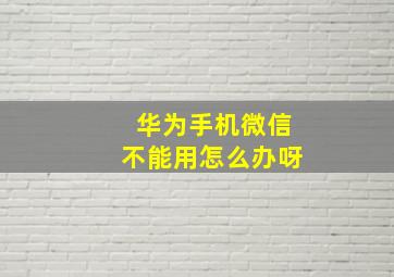 华为手机微信不能用怎么办呀