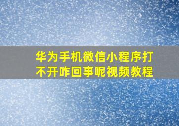 华为手机微信小程序打不开咋回事呢视频教程