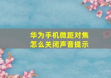 华为手机微距对焦怎么关闭声音提示