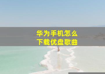 华为手机怎么下载优盘歌曲