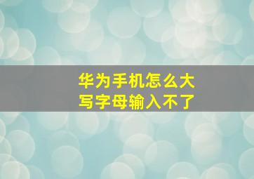 华为手机怎么大写字母输入不了