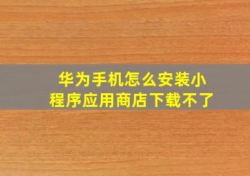 华为手机怎么安装小程序应用商店下载不了