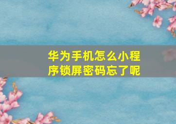 华为手机怎么小程序锁屏密码忘了呢