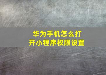 华为手机怎么打开小程序权限设置