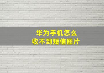 华为手机怎么收不到短信图片