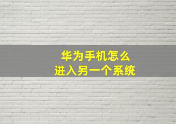 华为手机怎么进入另一个系统