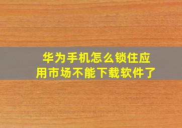 华为手机怎么锁住应用市场不能下载软件了