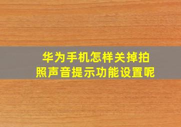 华为手机怎样关掉拍照声音提示功能设置呢