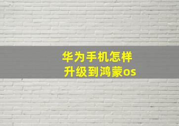 华为手机怎样升级到鸿蒙os