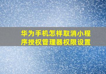 华为手机怎样取消小程序授权管理器权限设置