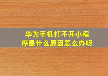 华为手机打不开小程序是什么原因怎么办呀