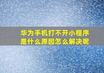 华为手机打不开小程序是什么原因怎么解决呢