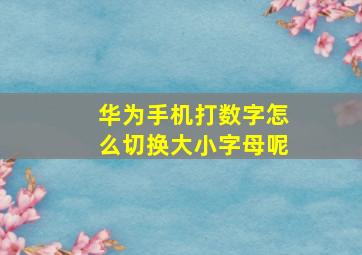 华为手机打数字怎么切换大小字母呢