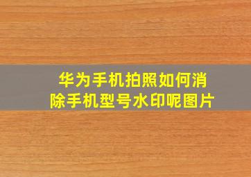 华为手机拍照如何消除手机型号水印呢图片