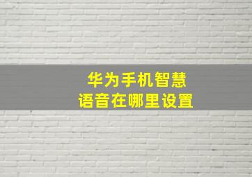 华为手机智慧语音在哪里设置