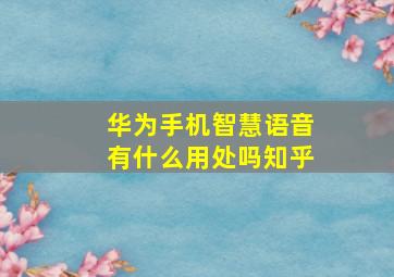 华为手机智慧语音有什么用处吗知乎