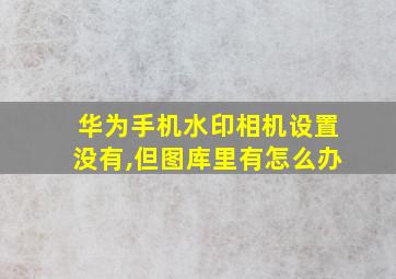 华为手机水印相机设置没有,但图库里有怎么办