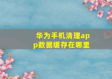 华为手机清理app数据缓存在哪里