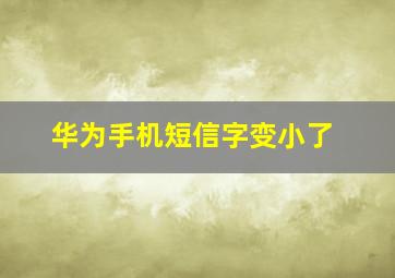 华为手机短信字变小了