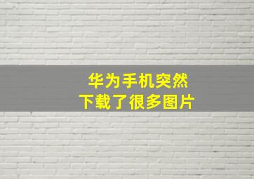 华为手机突然下载了很多图片