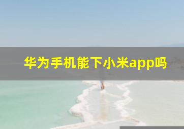 华为手机能下小米app吗