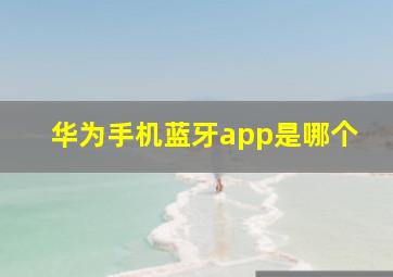 华为手机蓝牙app是哪个