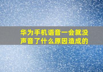 华为手机语音一会就没声音了什么原因造成的