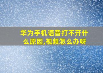 华为手机语音打不开什么原因,视频怎么办呀