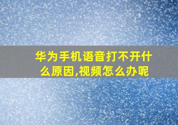 华为手机语音打不开什么原因,视频怎么办呢