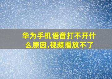 华为手机语音打不开什么原因,视频播放不了