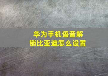 华为手机语音解锁比亚迪怎么设置