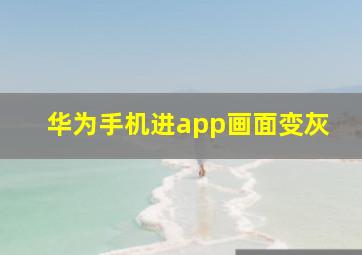 华为手机进app画面变灰