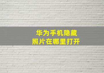 华为手机隐藏照片在哪里打开