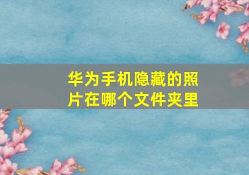 华为手机隐藏的照片在哪个文件夹里