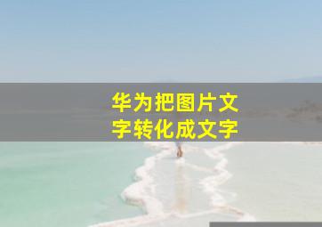 华为把图片文字转化成文字