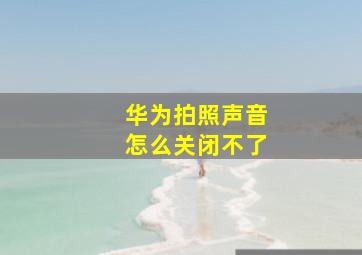 华为拍照声音怎么关闭不了