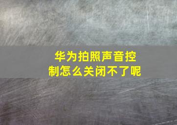 华为拍照声音控制怎么关闭不了呢