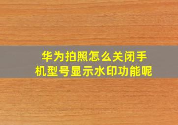 华为拍照怎么关闭手机型号显示水印功能呢